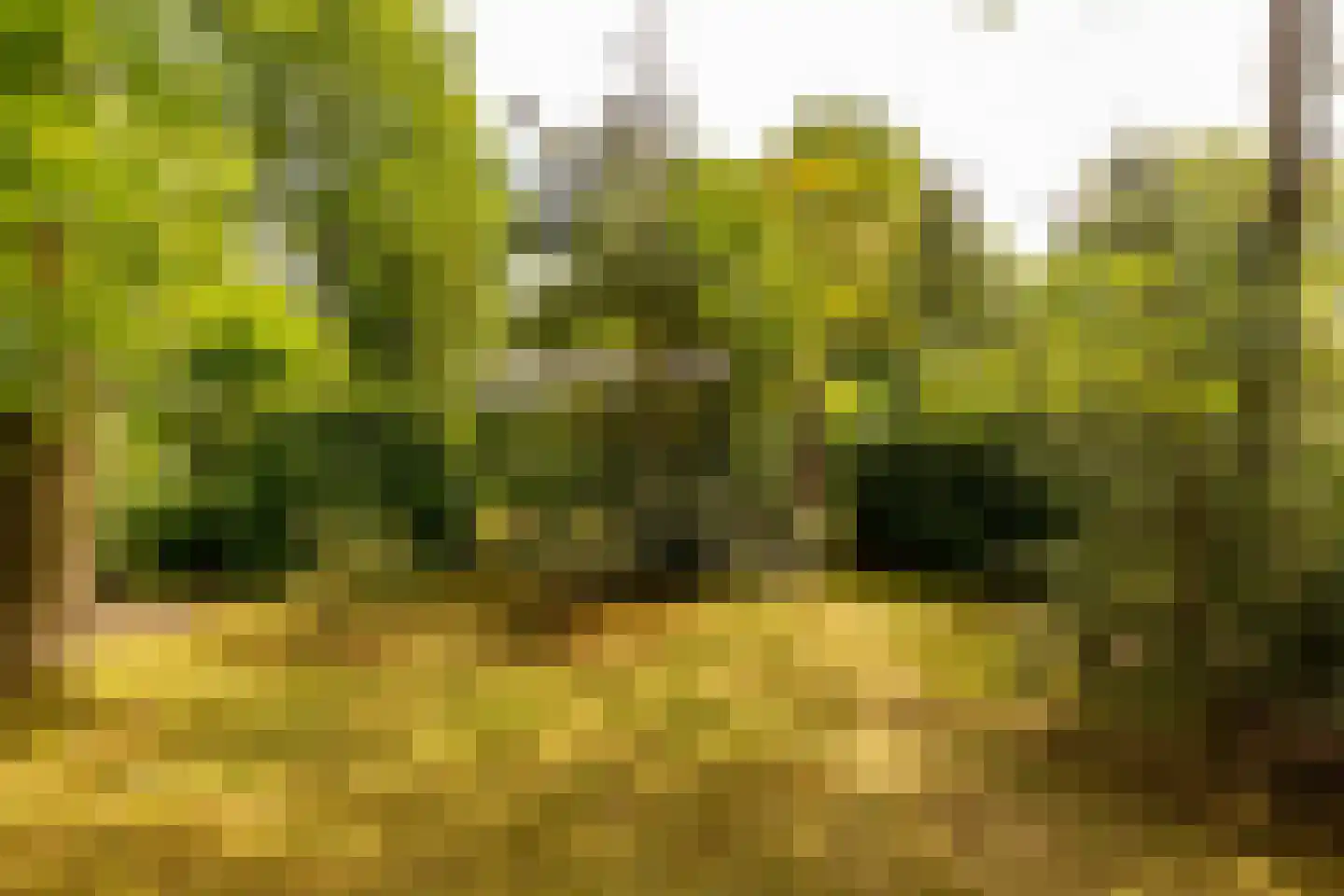 Oshaarseweg 24 79 Echten thumbnail 37