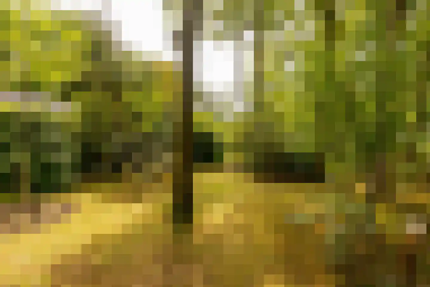 Oshaarseweg 24 79 Echten thumbnail 38