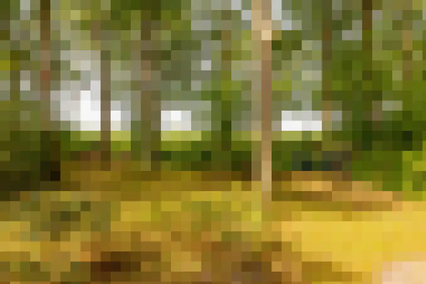 Oshaarseweg 24 79 Echten thumbnail 39