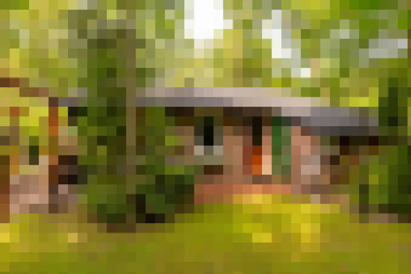 Oshaarseweg 24 79 Echten thumbnail 4