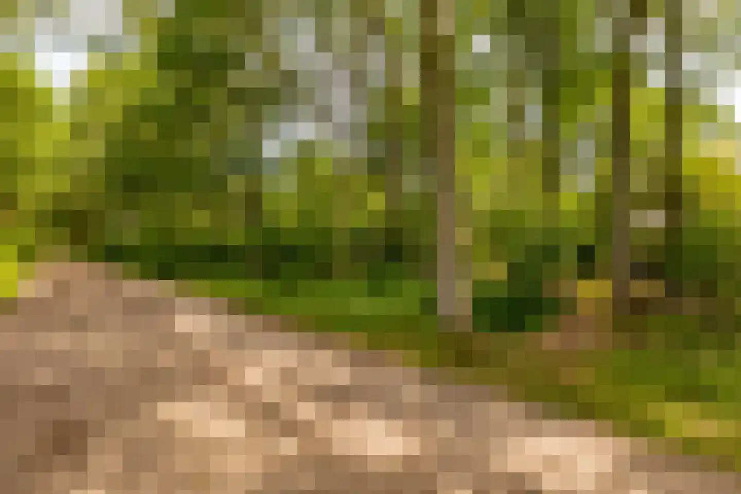 Oshaarseweg 24 79 Echten thumbnail 40