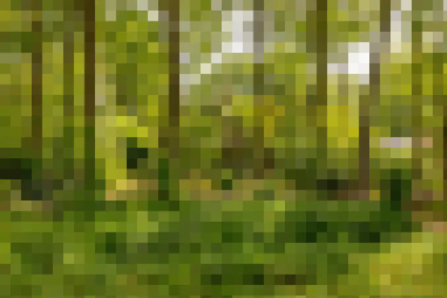 Oshaarseweg 24 79 Echten thumbnail 42