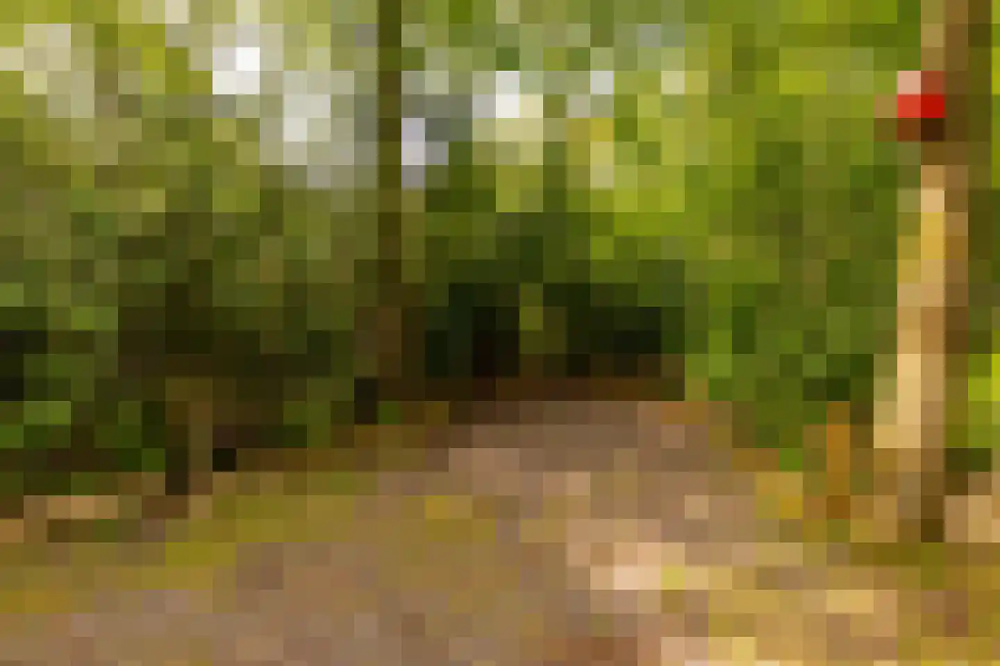 Oshaarseweg 24 79 Echten thumbnail 43