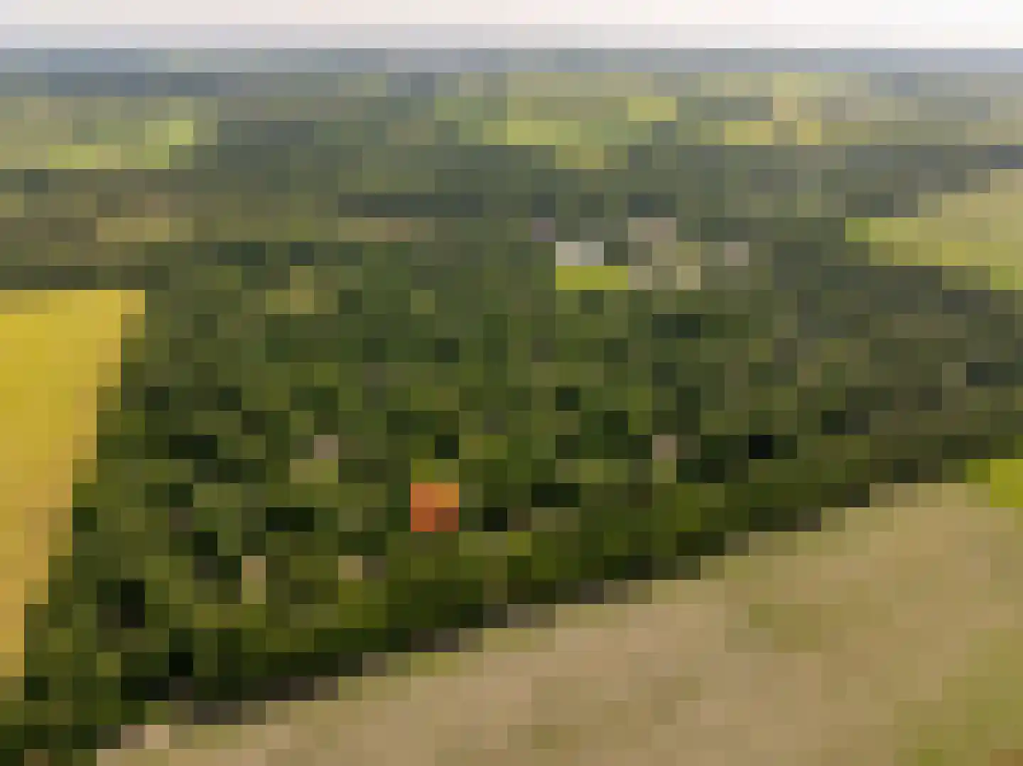 Oshaarseweg 24 79 Echten thumbnail 46