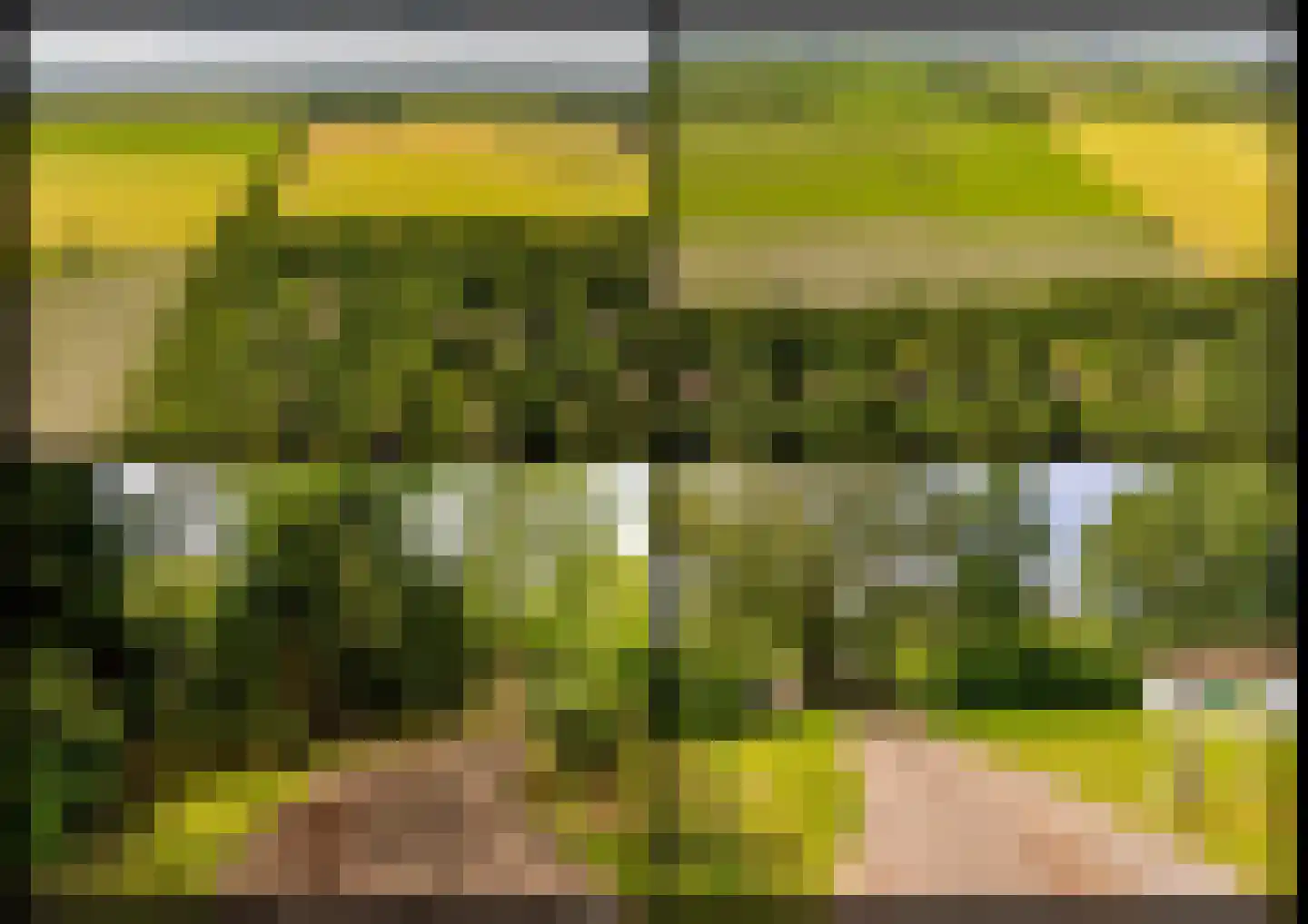 Oshaarseweg 24 79 Echten thumbnail 47
