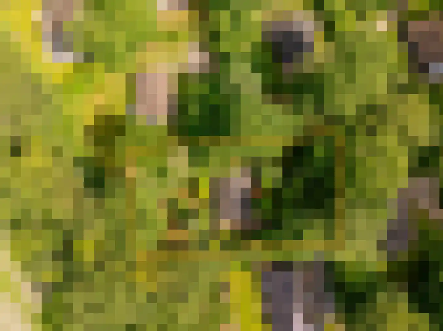 Oshaarseweg 24 79 Echten thumbnail 5