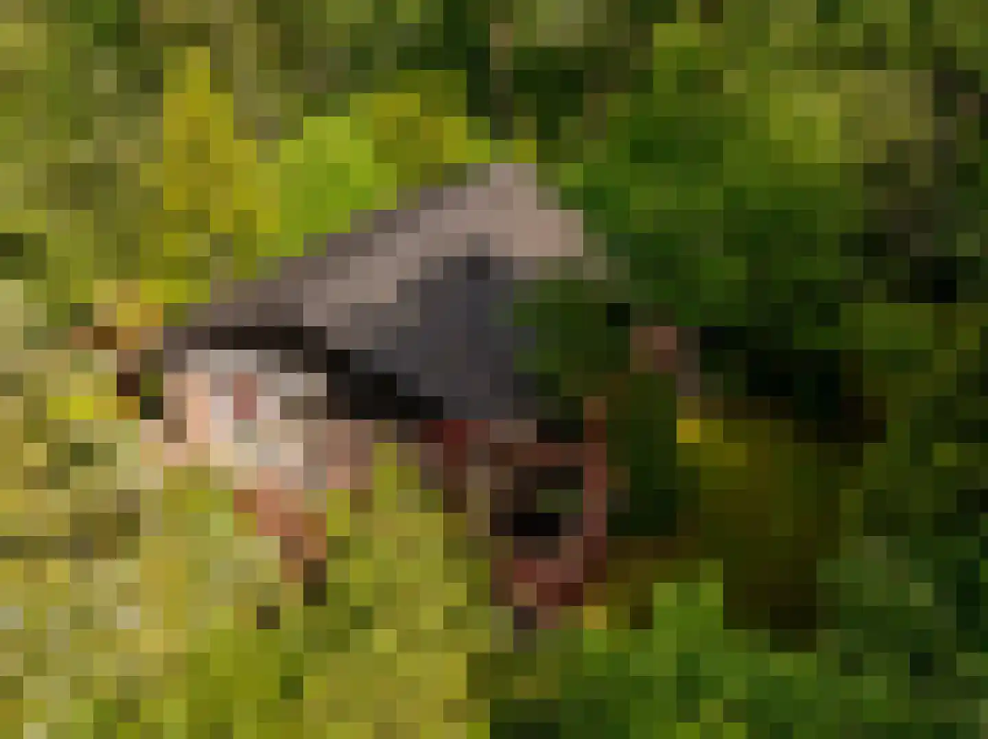 Oshaarseweg 24 79 Echten thumbnail 6
