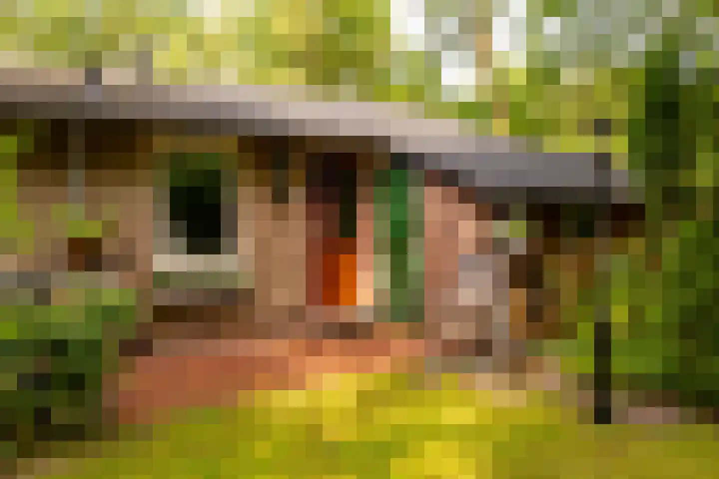 Oshaarseweg 24 79 Echten thumbnail 7