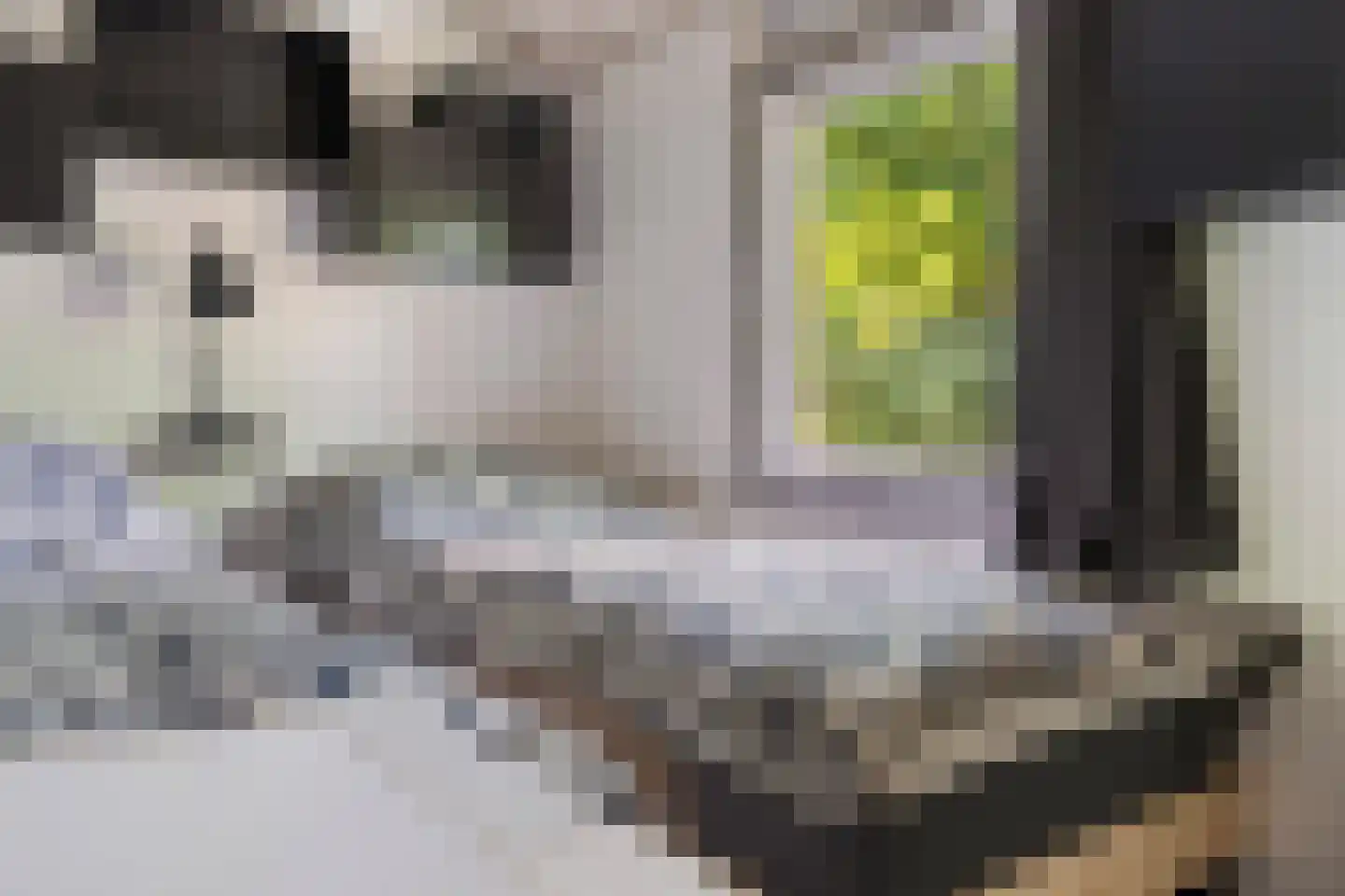 Oshaarseweg 24 85 Echten thumbnail 15