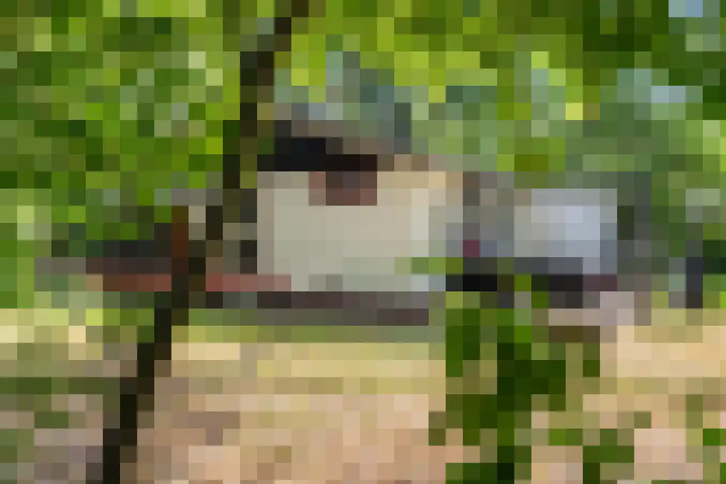 Oshaarseweg 24 85 Echten thumbnail 21