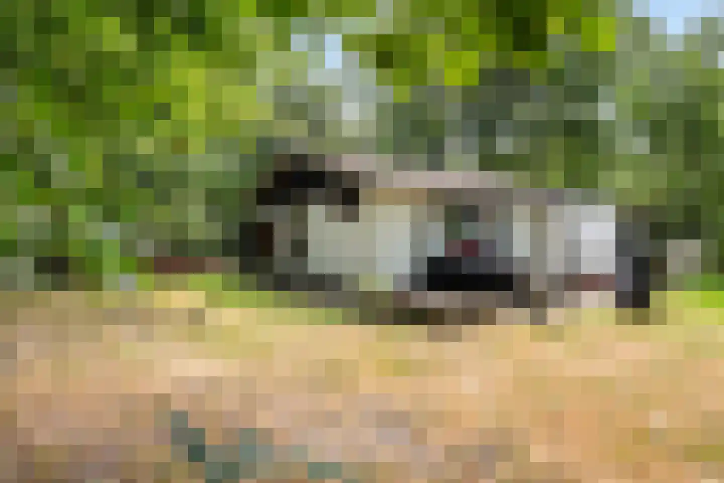 Oshaarseweg 24 85 Echten thumbnail 22