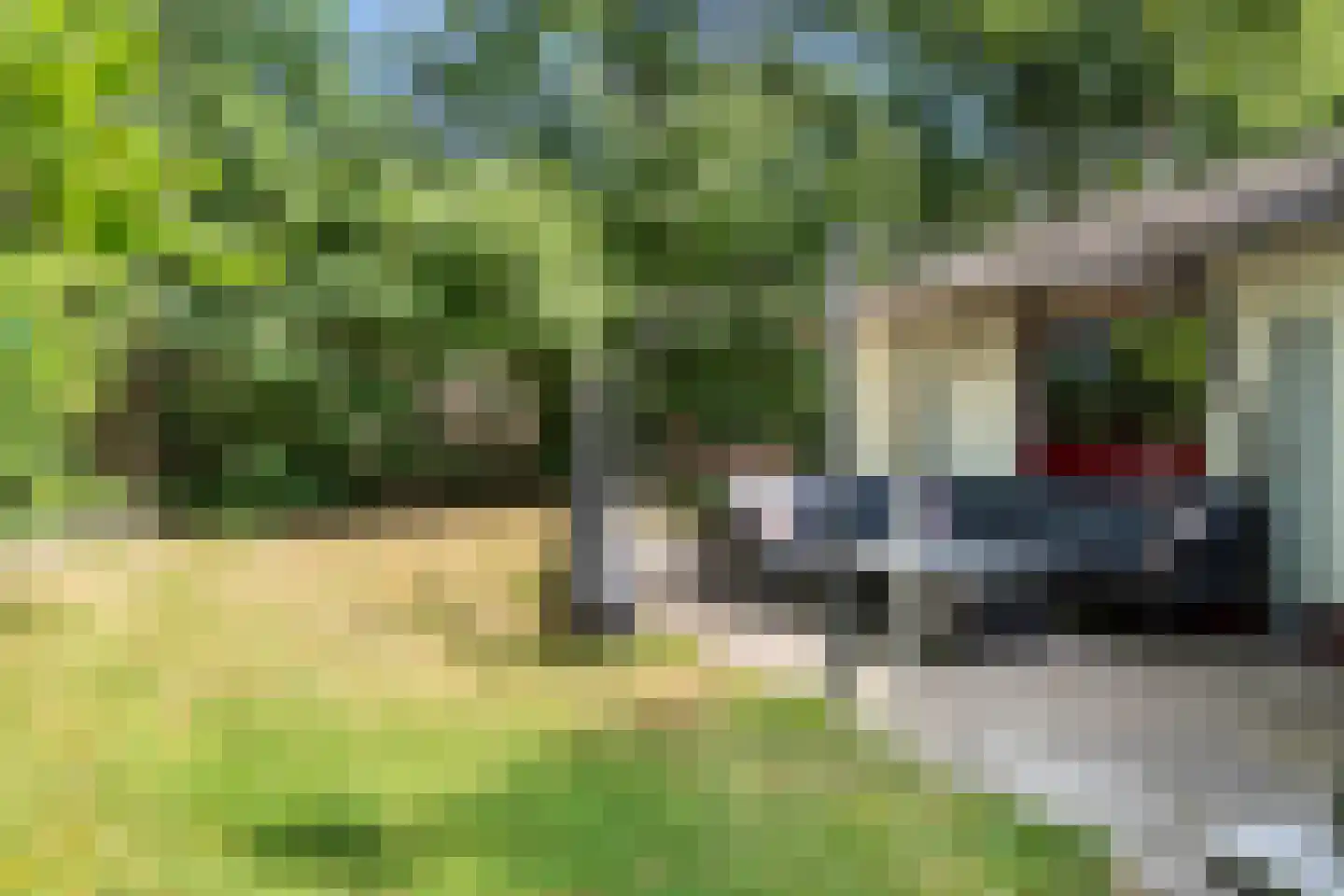 Oshaarseweg 24 85 Echten thumbnail 23