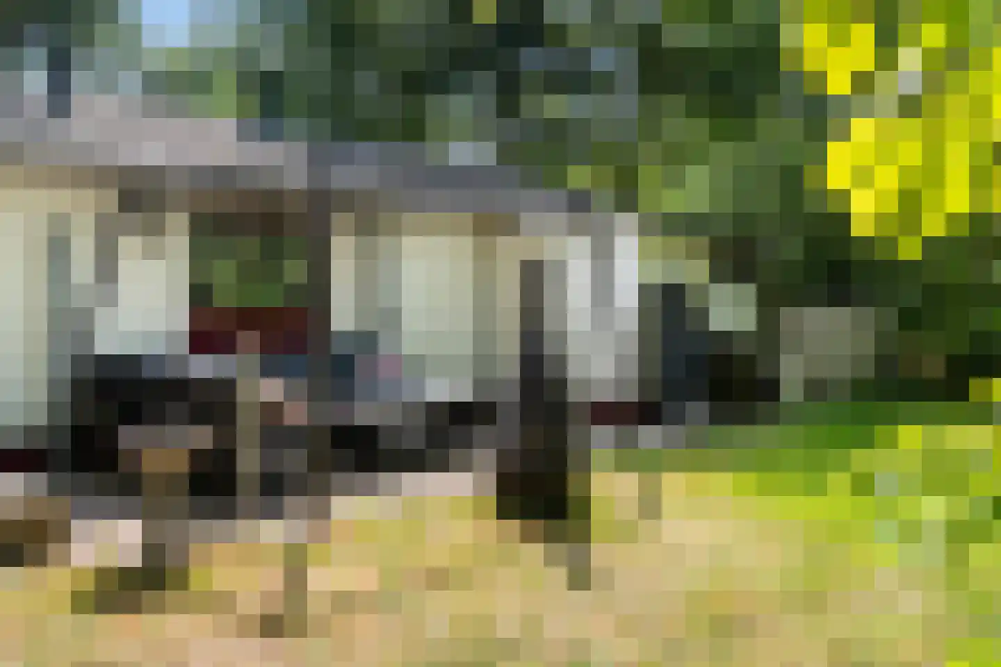 Oshaarseweg 24 85 Echten thumbnail 24