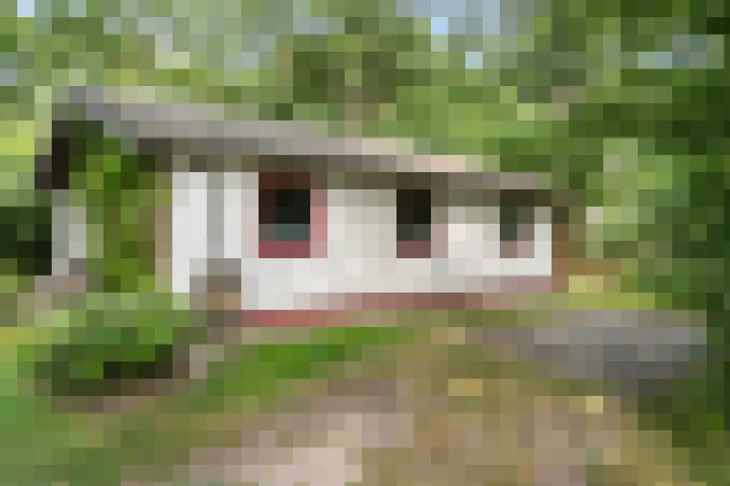 Oshaarseweg 24 85 Echten thumbnail 25