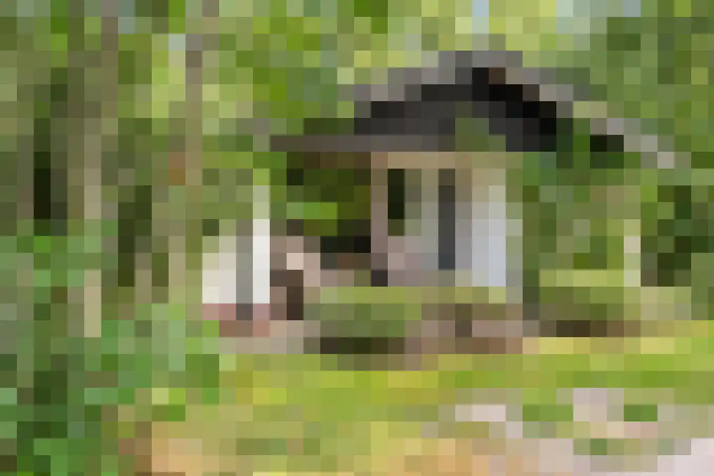 Oshaarseweg 24 85 Echten thumbnail 26