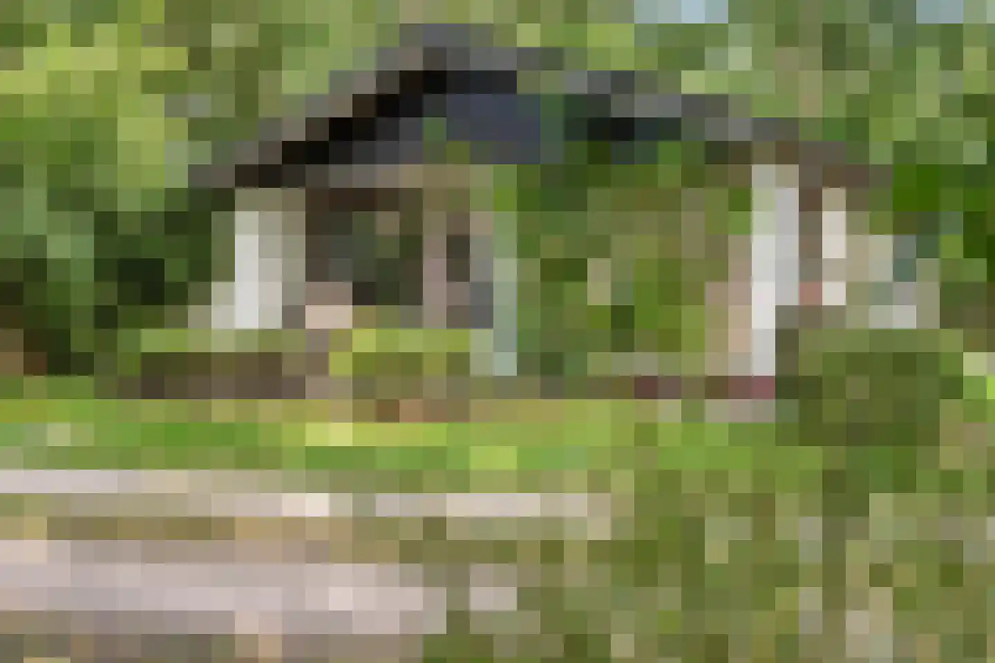 Oshaarseweg 24 85 Echten thumbnail 27