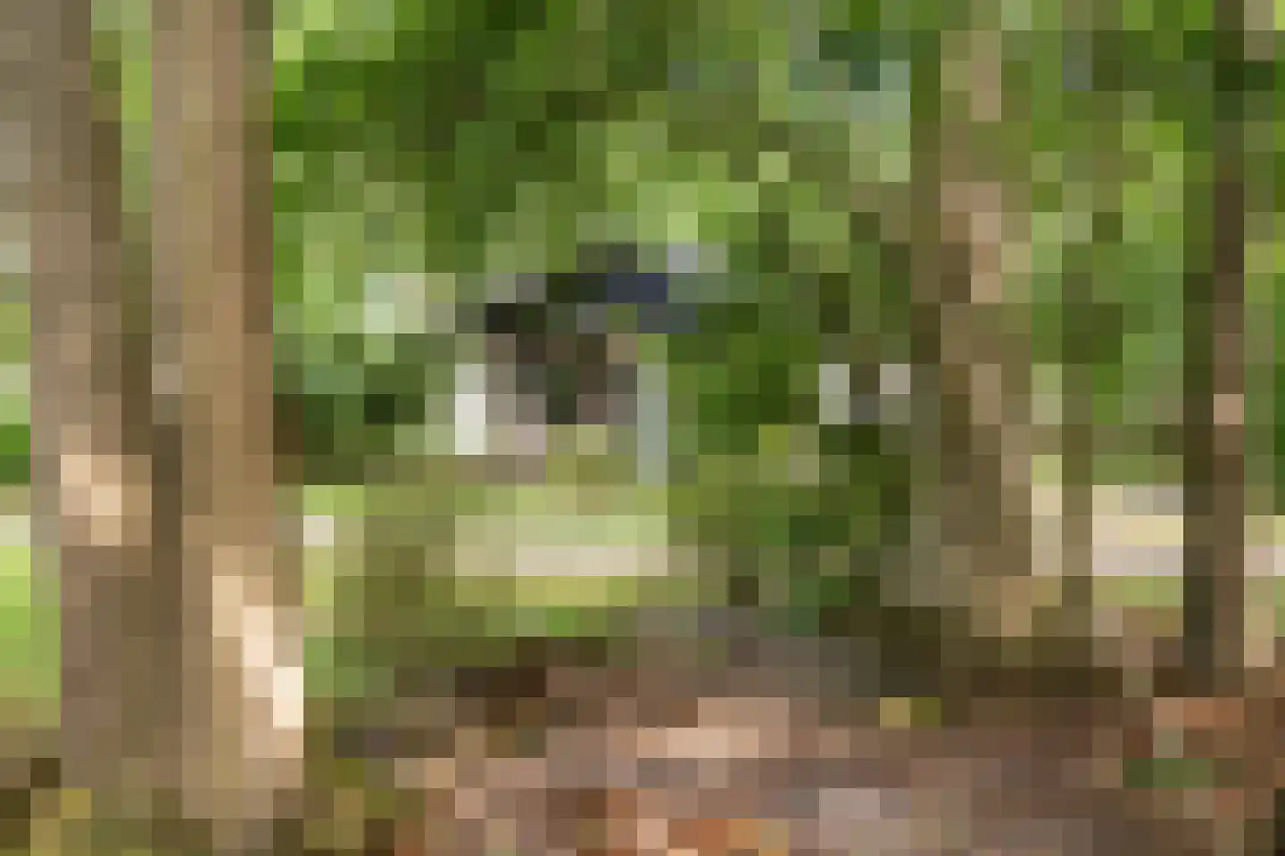 Oshaarseweg 24 85 Echten thumbnail 28
