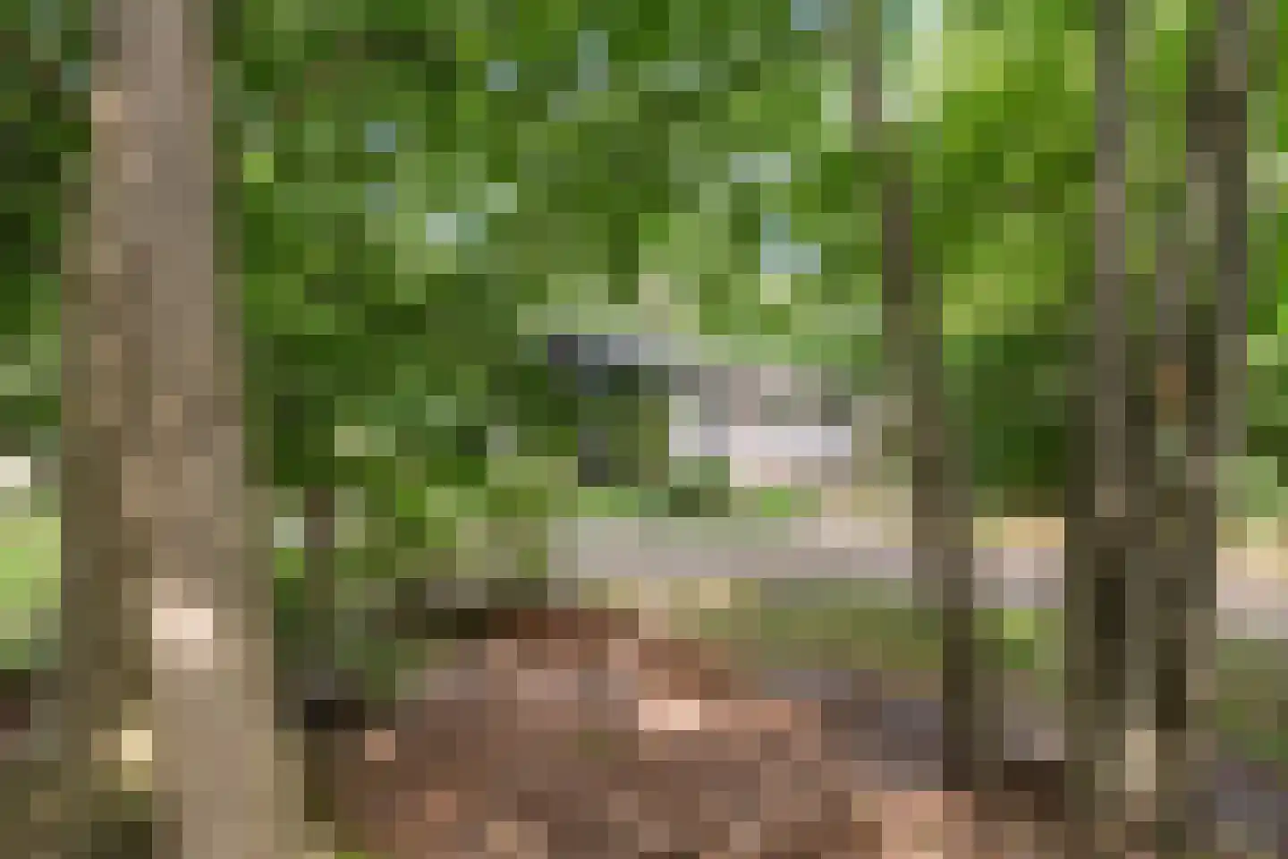 Oshaarseweg 24 85 Echten thumbnail 29