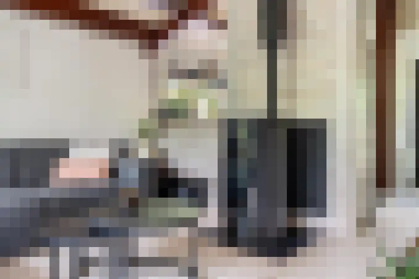 Oshaarseweg 24 85 Echten thumbnail 9