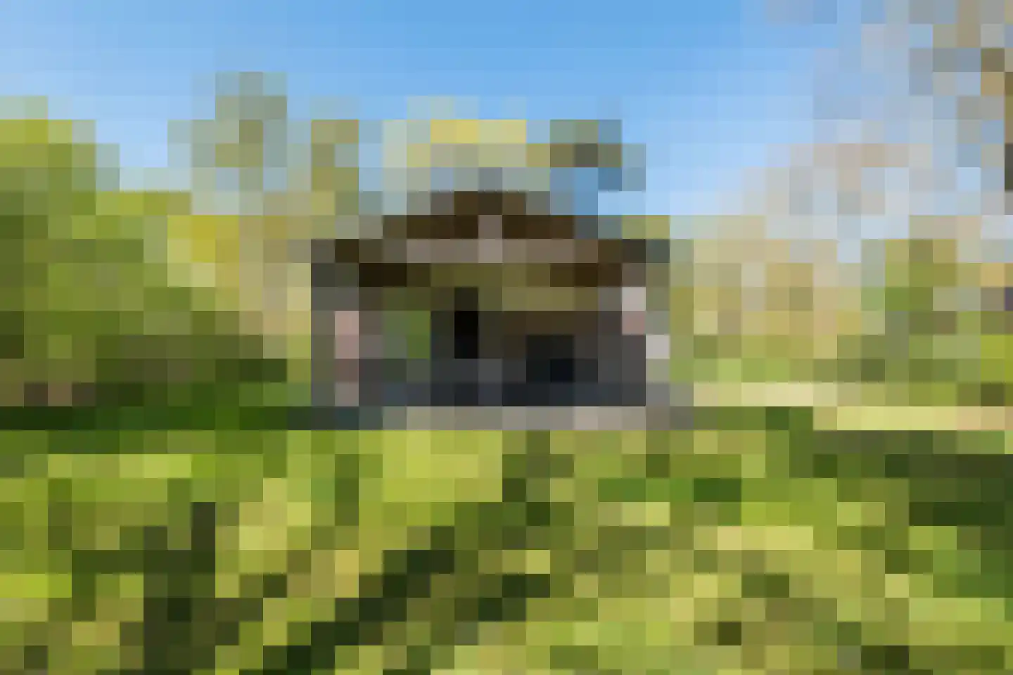 Oshaarseweg 24 9 Echten thumbnail 15