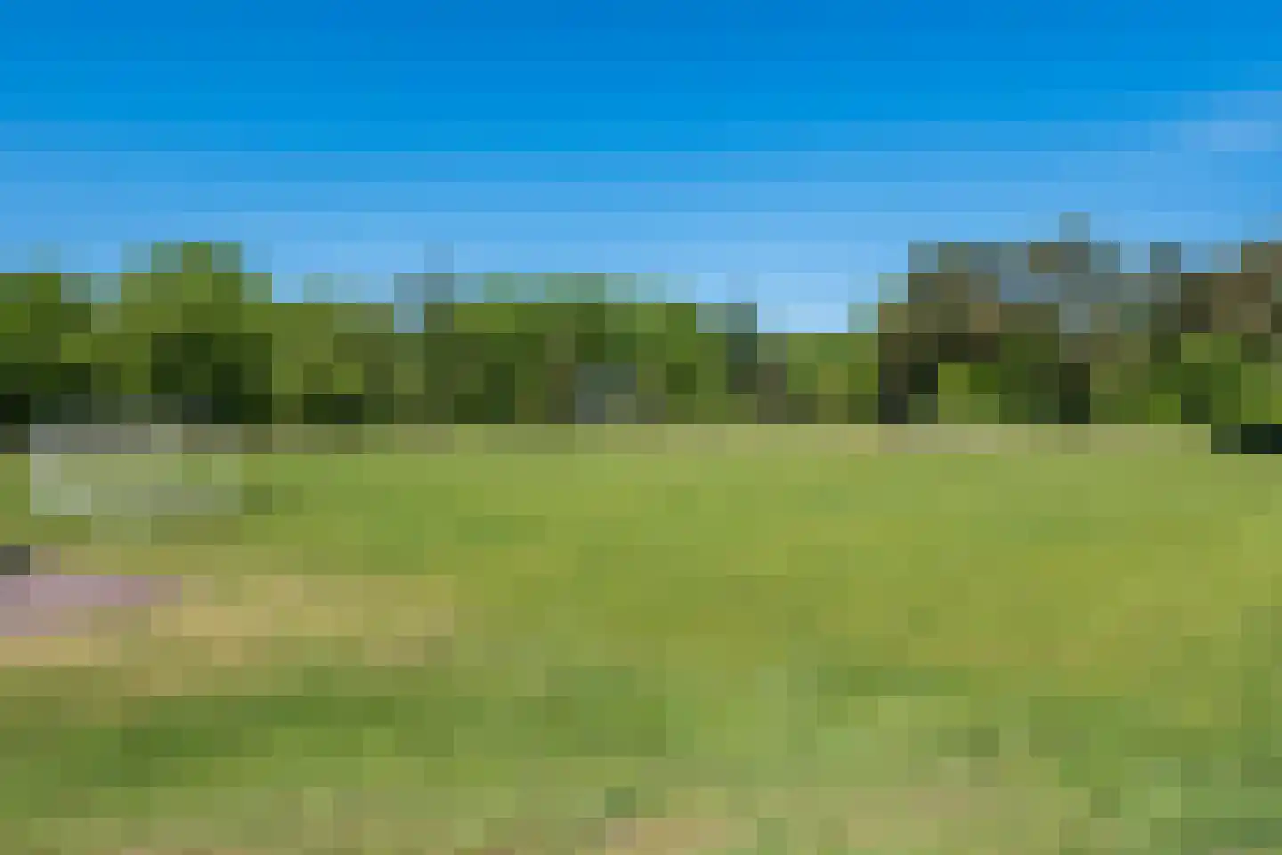 Oshaarseweg 24 9 Echten thumbnail 18