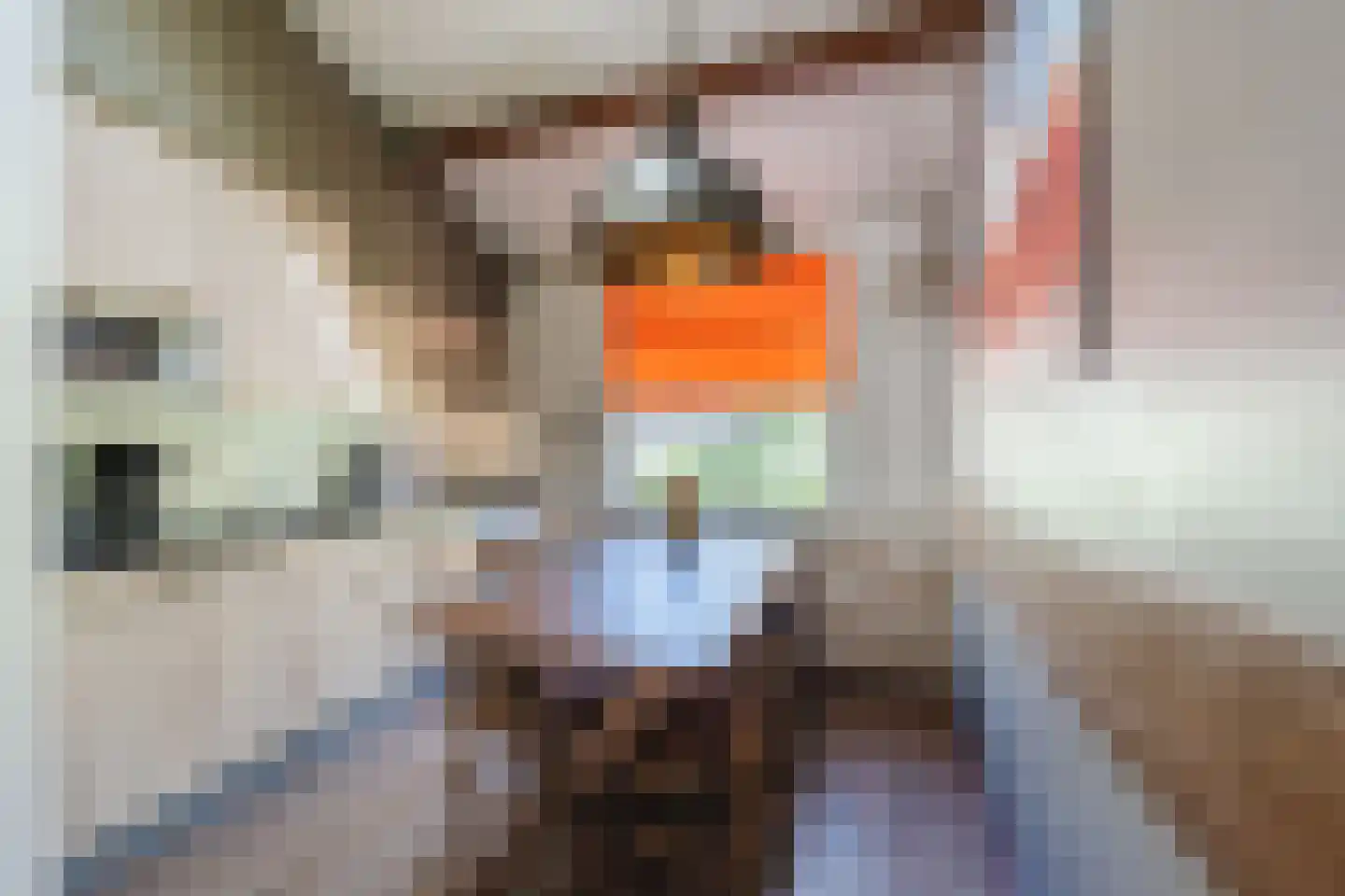 Oshaarseweg 24 9 Echten thumbnail 4