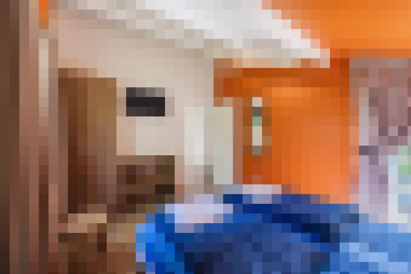 Oshaarseweg 24 9 Echten thumbnail 9