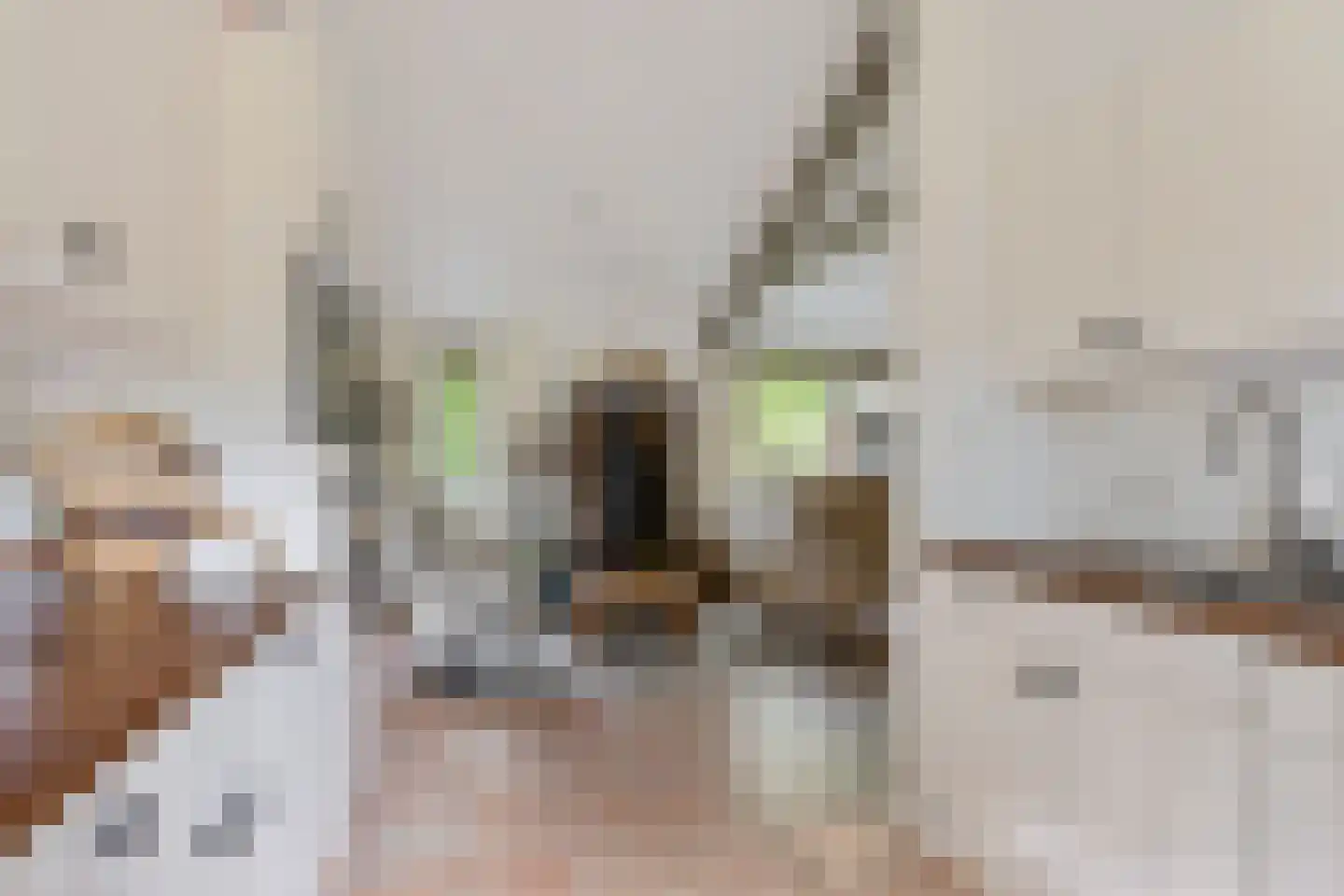 Oshaarseweg 24 99 Echten thumbnail 11