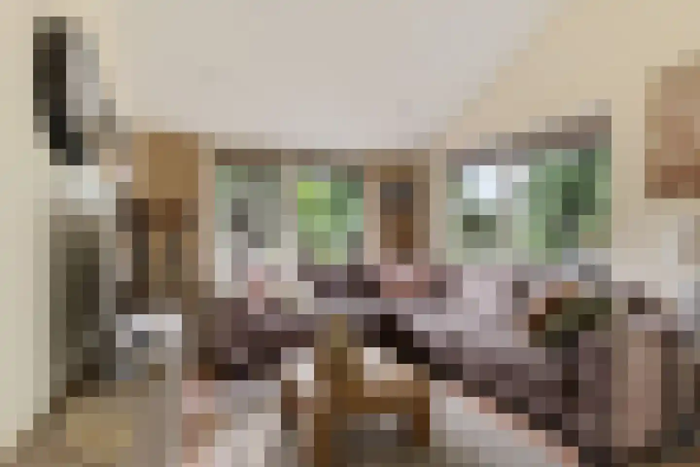 Oshaarseweg 24 99 Echten thumbnail 14