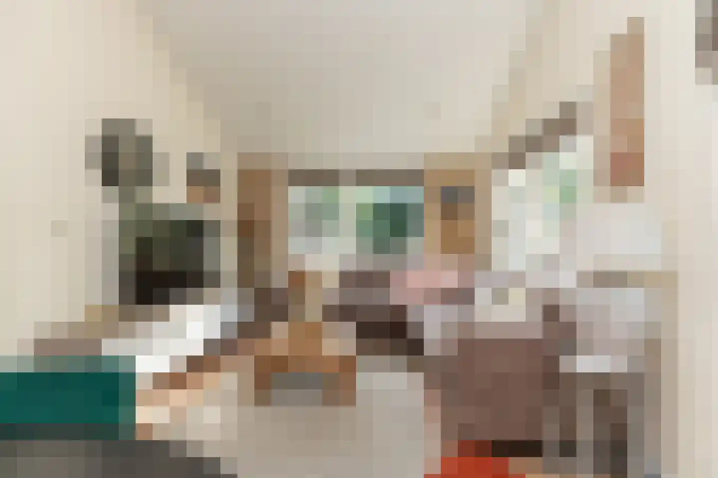 Oshaarseweg 24 99 Echten thumbnail 15