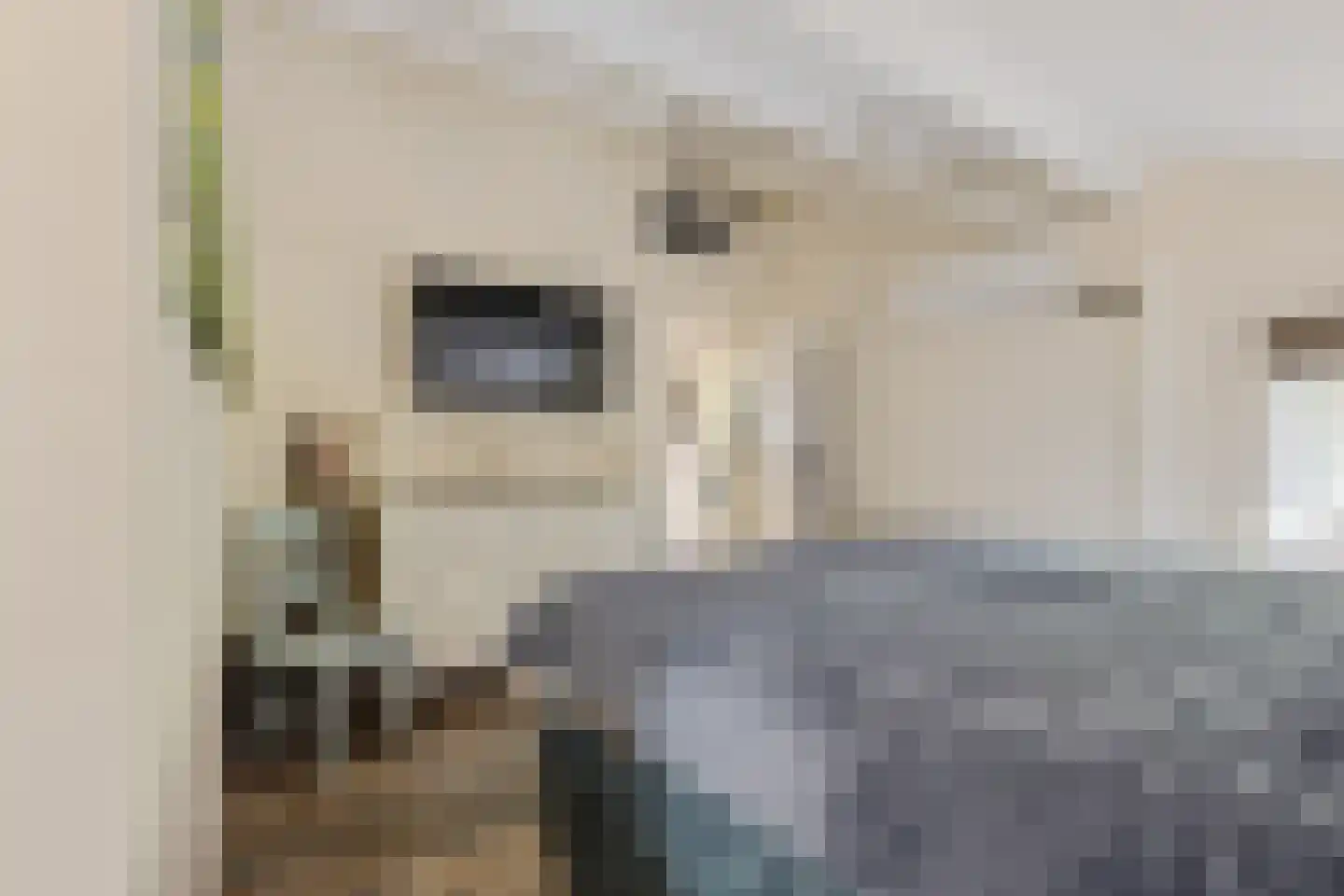Oshaarseweg 24 99 Echten thumbnail 16