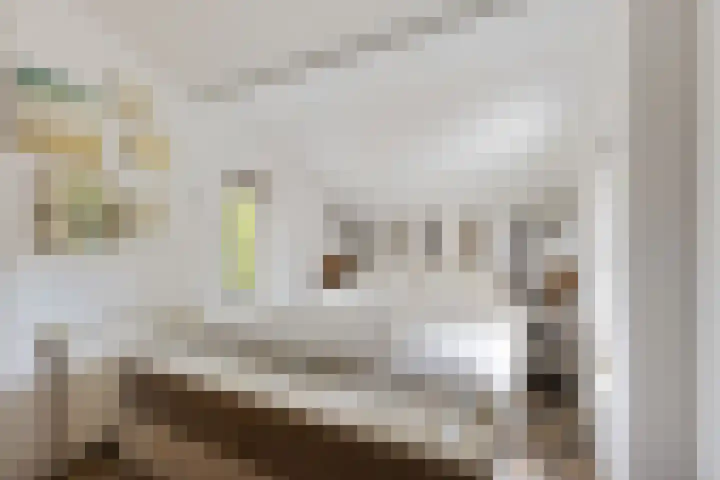 Oshaarseweg 24 99 Echten thumbnail 17