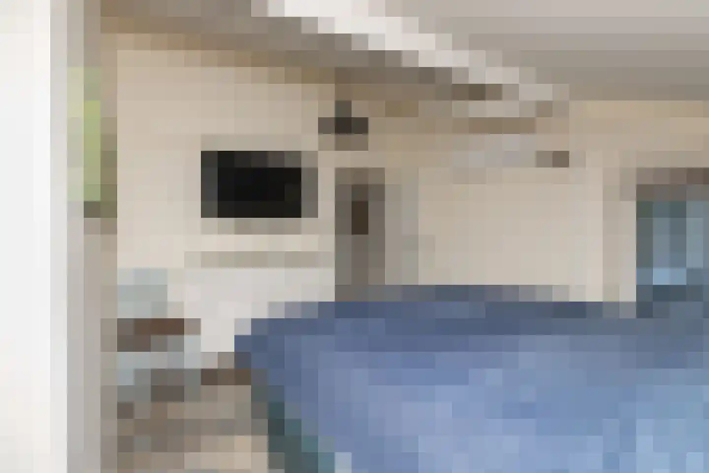 Oshaarseweg 24 99 Echten thumbnail 23