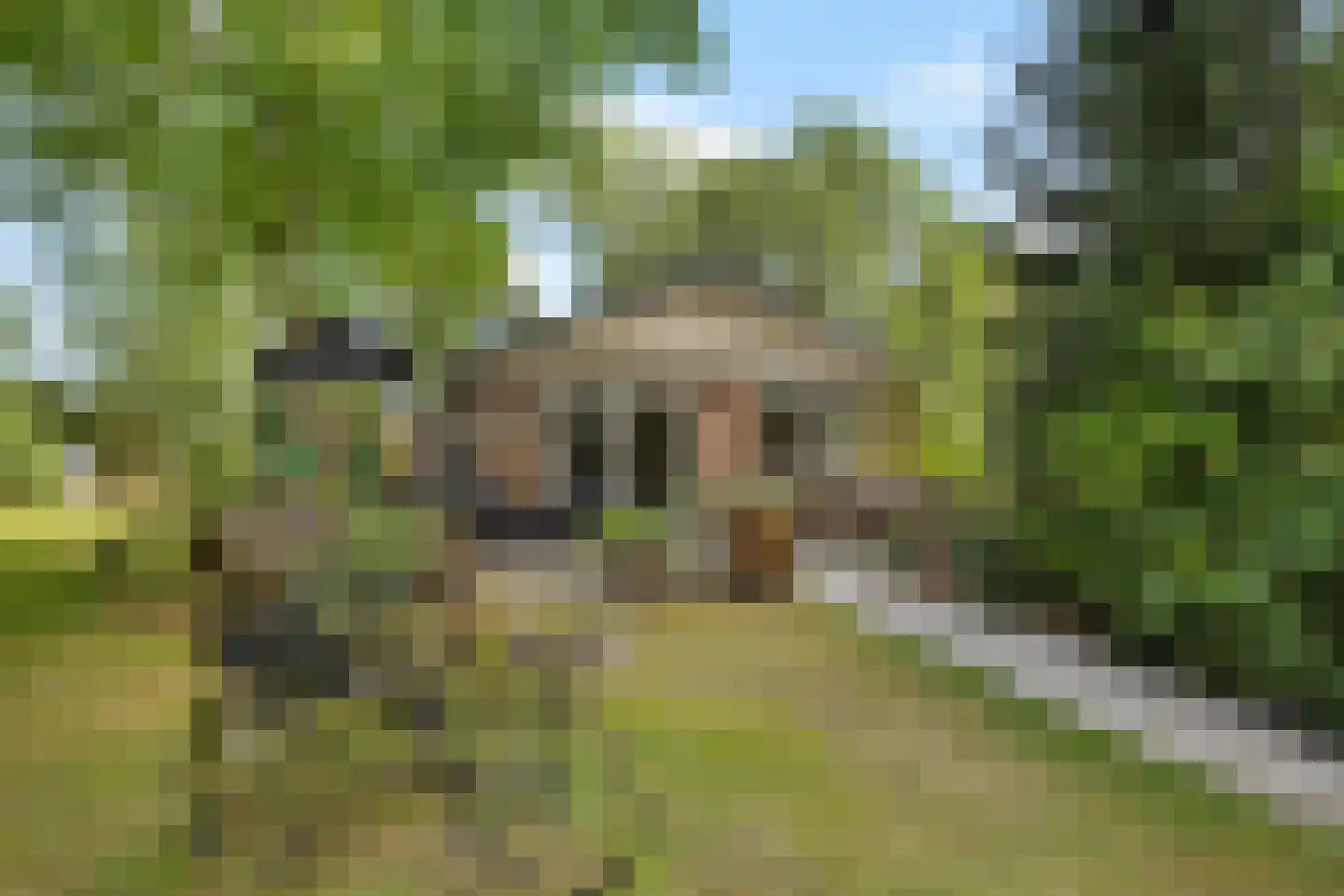 Oshaarseweg 24 99 Echten thumbnail 25