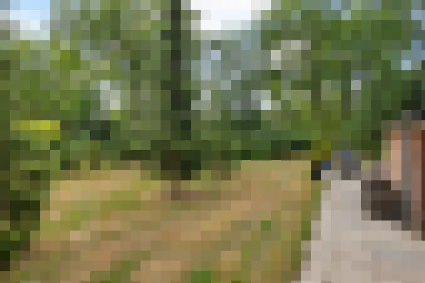 Oshaarseweg 24 99 Echten thumbnail 26