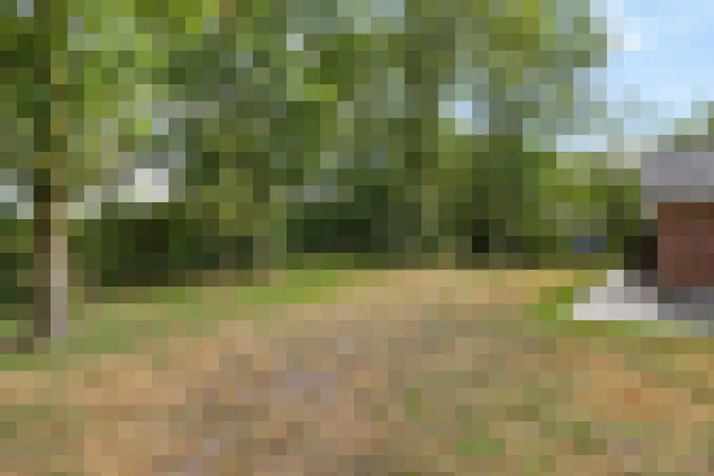 Oshaarseweg 24 99 Echten thumbnail 27