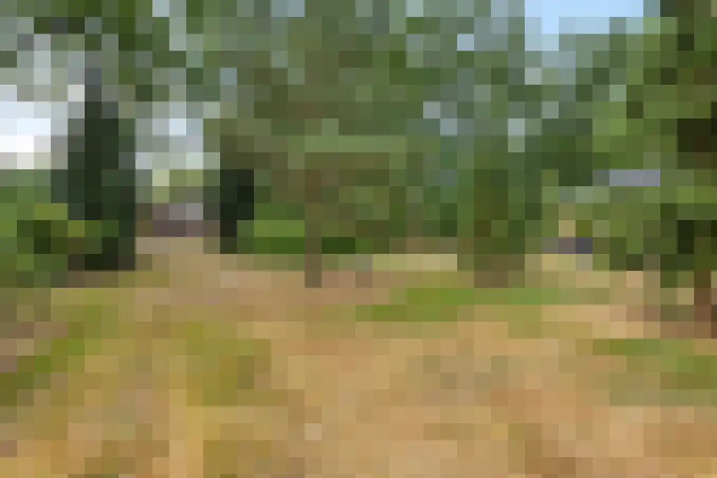 Oshaarseweg 24 99 Echten thumbnail 28
