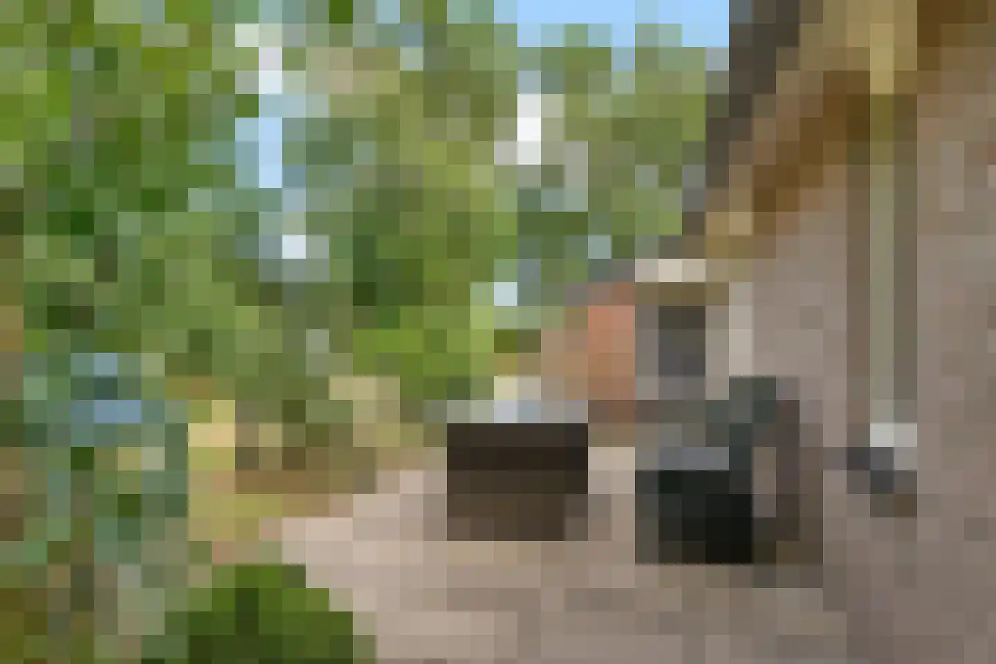 Oshaarseweg 24 99 Echten thumbnail 30
