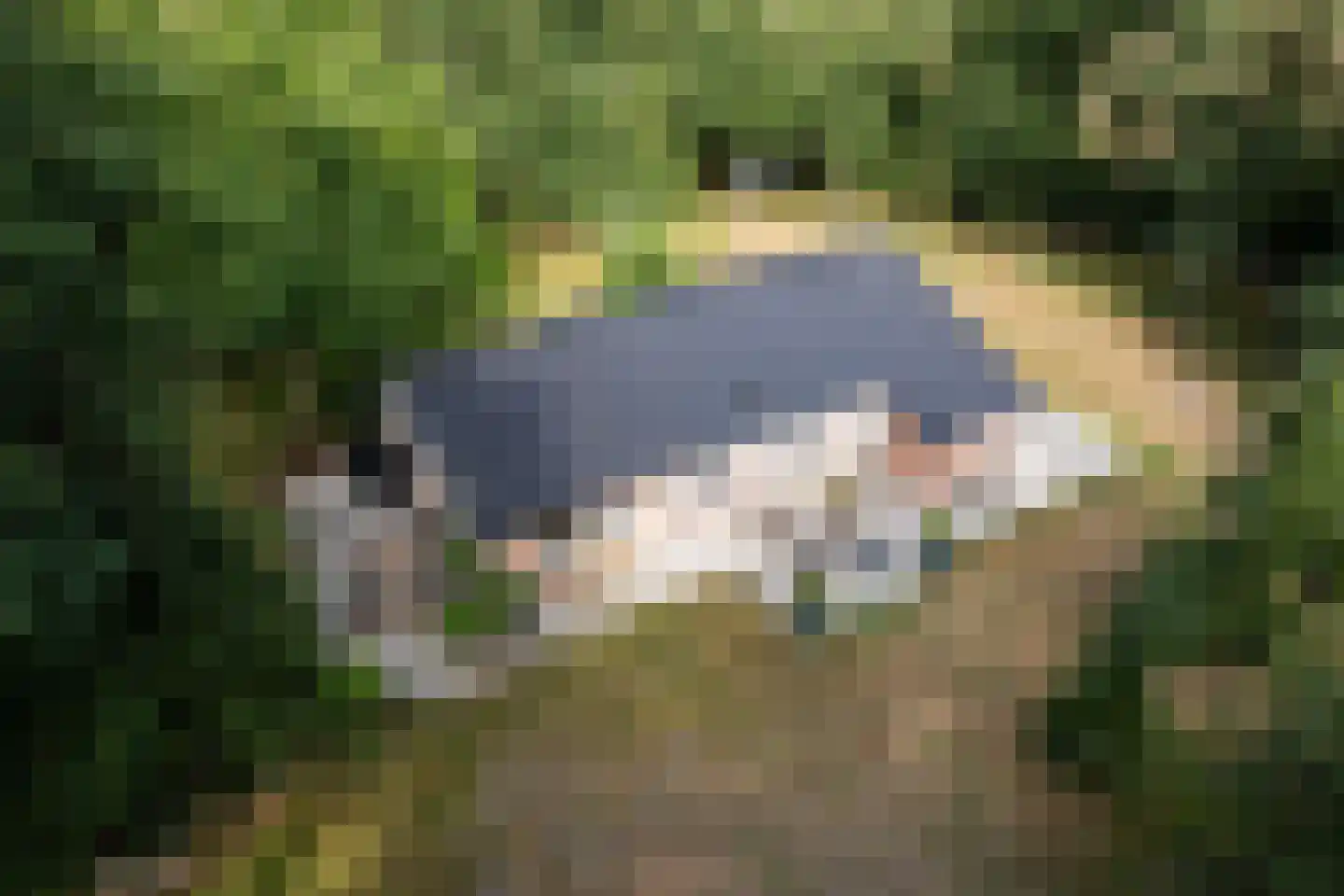 Oshaarseweg 24 99 Echten thumbnail 32