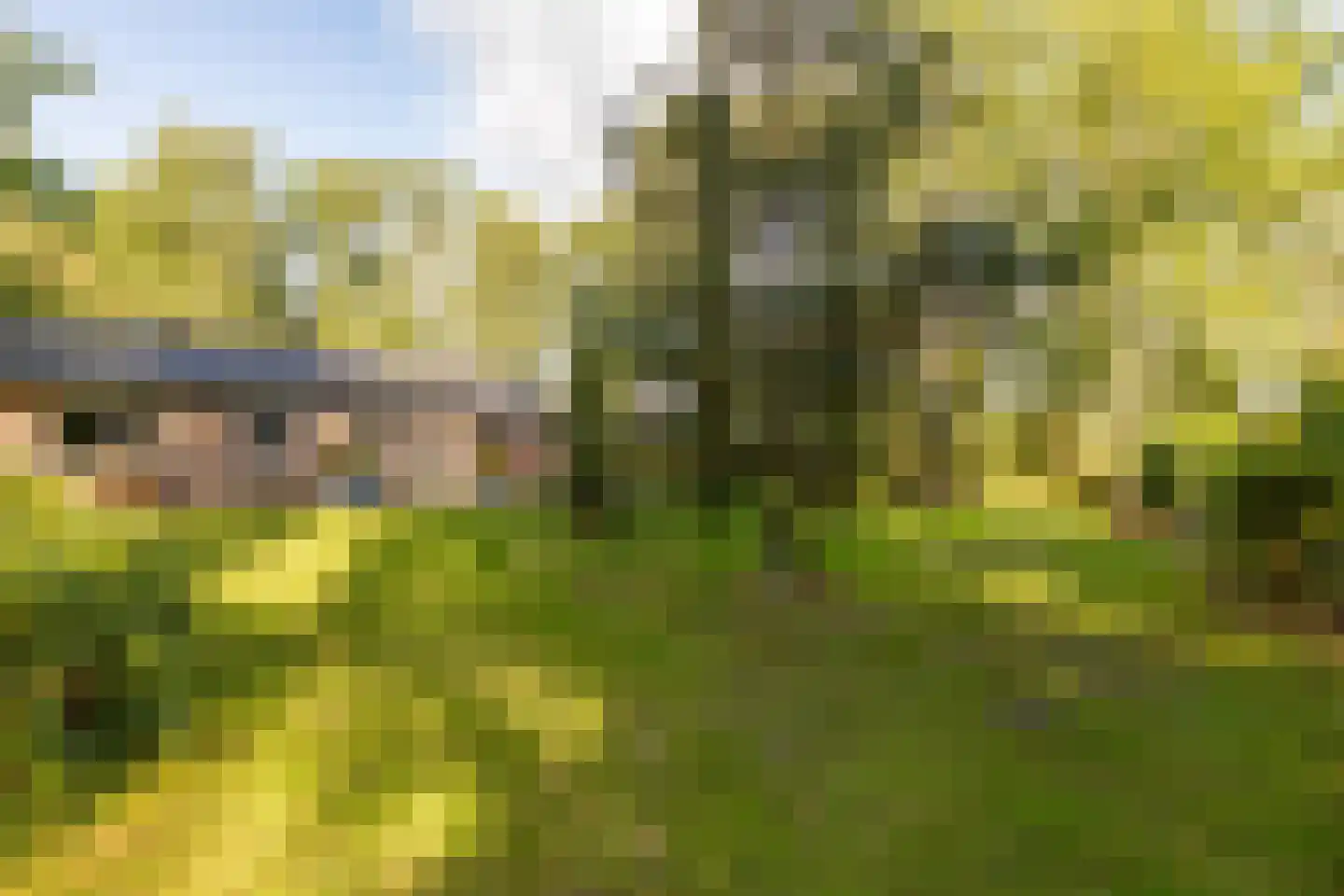 Oshaarseweg 24 99 Echten thumbnail 32