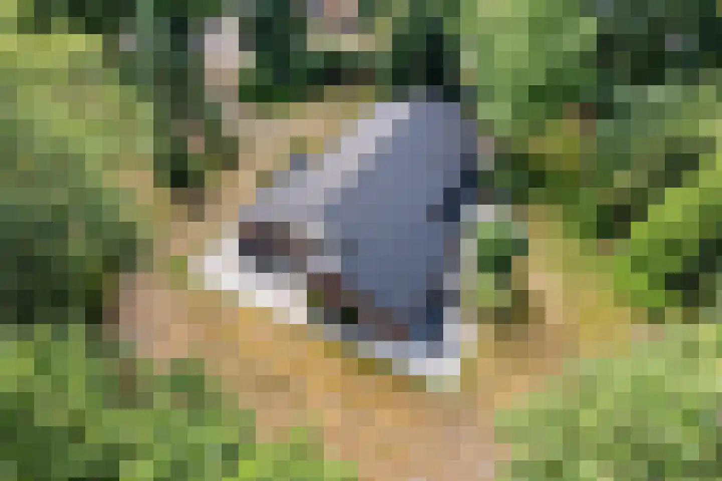 Oshaarseweg 24 99 Echten thumbnail 33