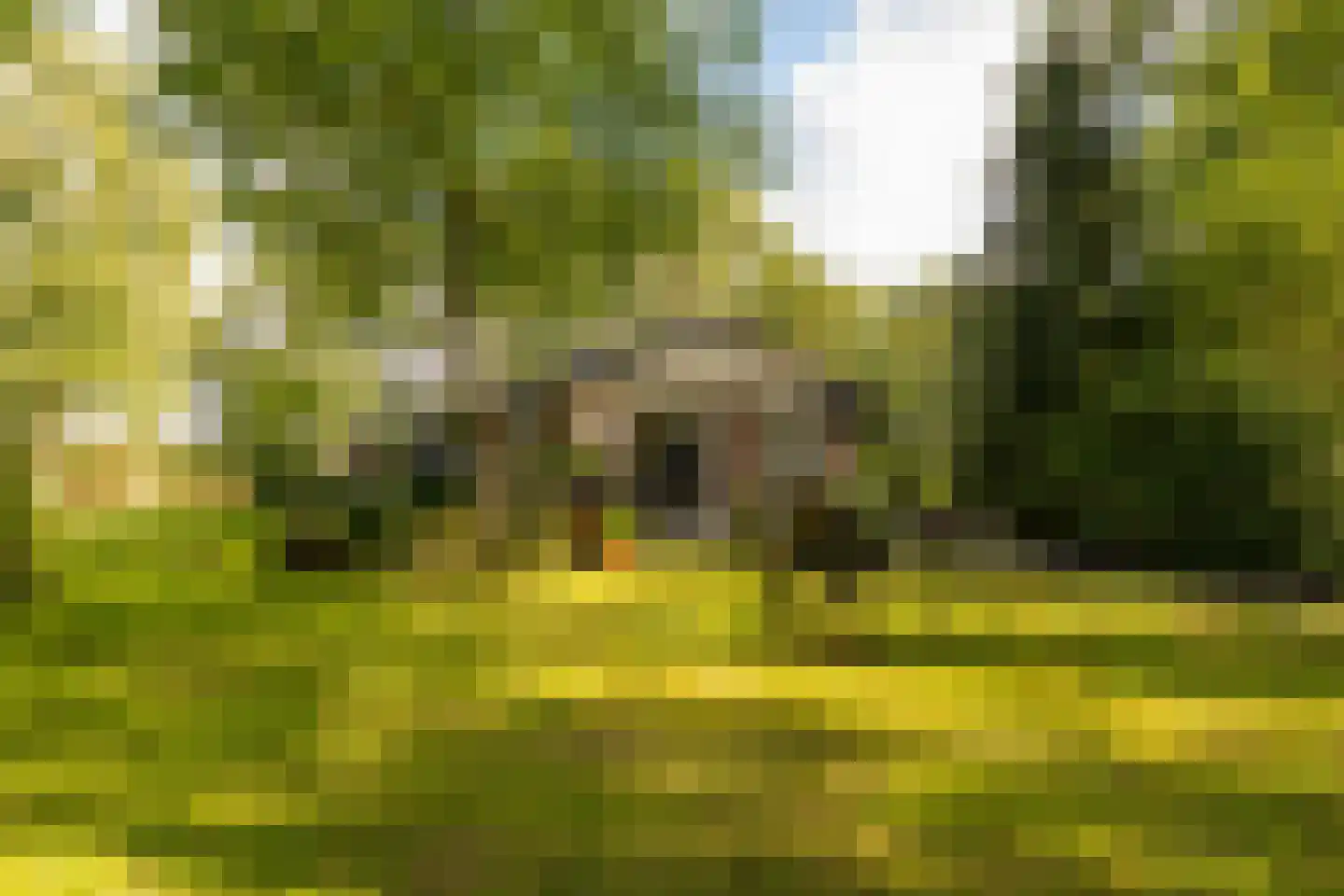 Oshaarseweg 24 99 Echten thumbnail 33