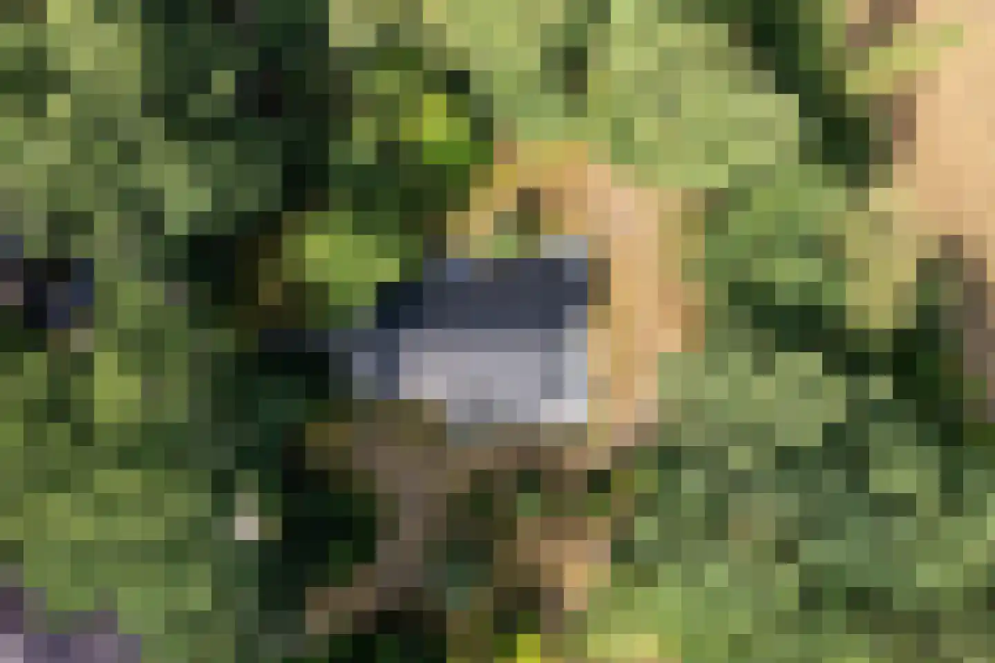 Oshaarseweg 24 99 Echten thumbnail 34