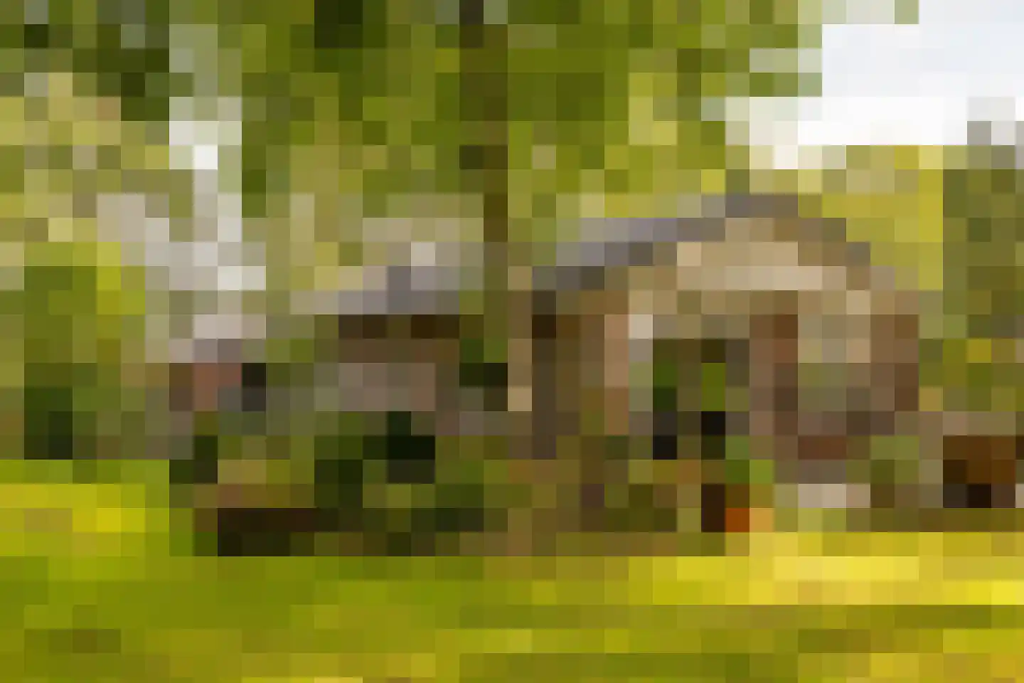 Oshaarseweg 24 99 Echten thumbnail 34
