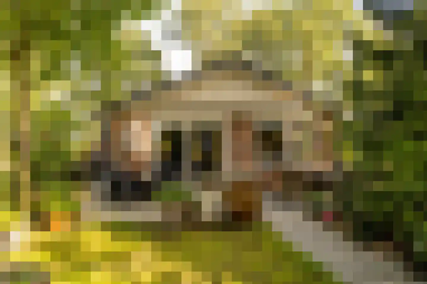 Oshaarseweg 24 99 Echten thumbnail 35