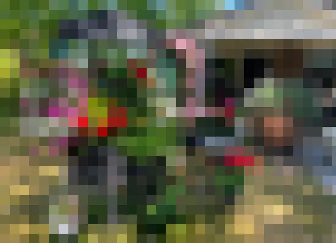 Oshaarseweg 24 99 Echten thumbnail 36