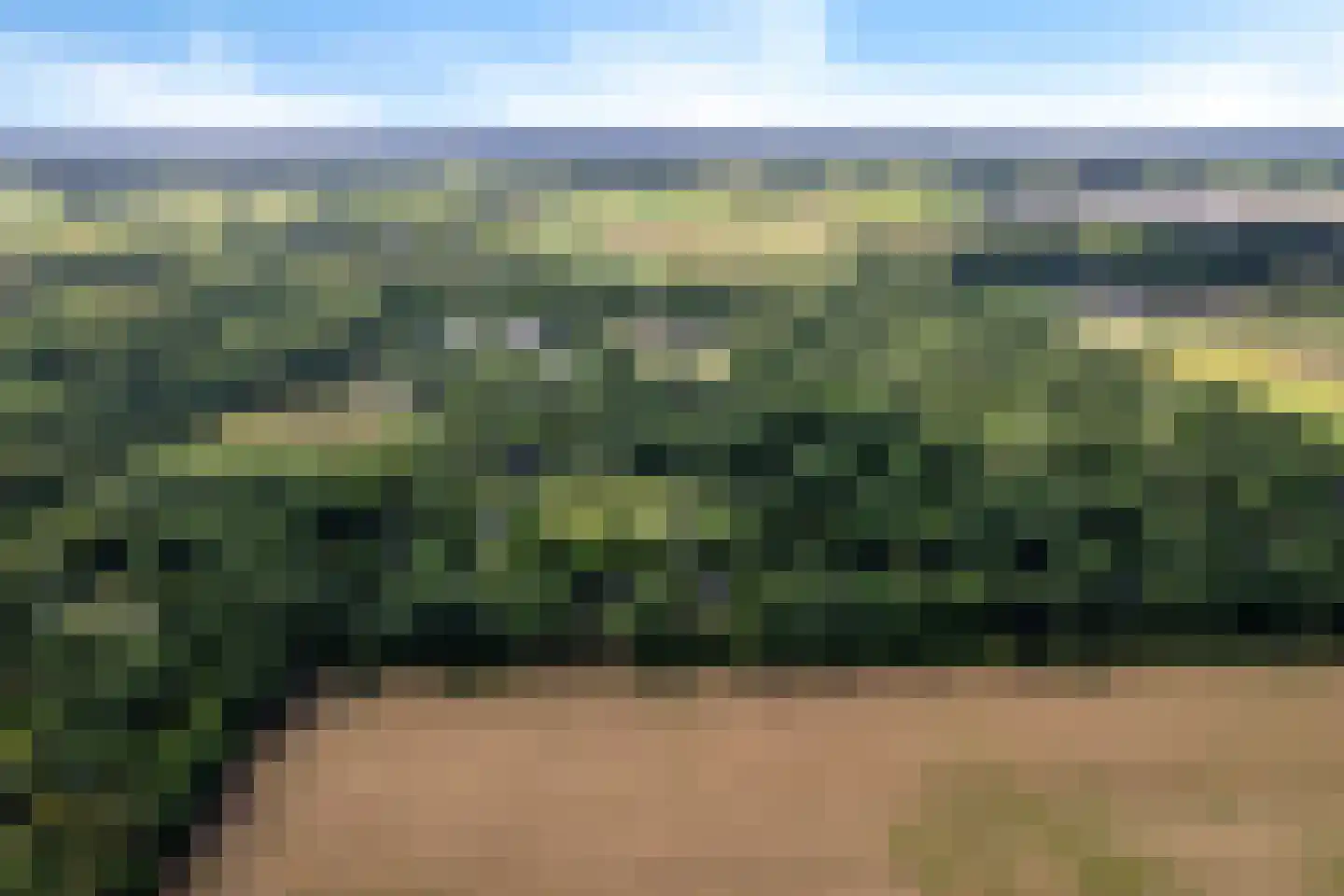Oshaarseweg 24 99 Echten thumbnail 36