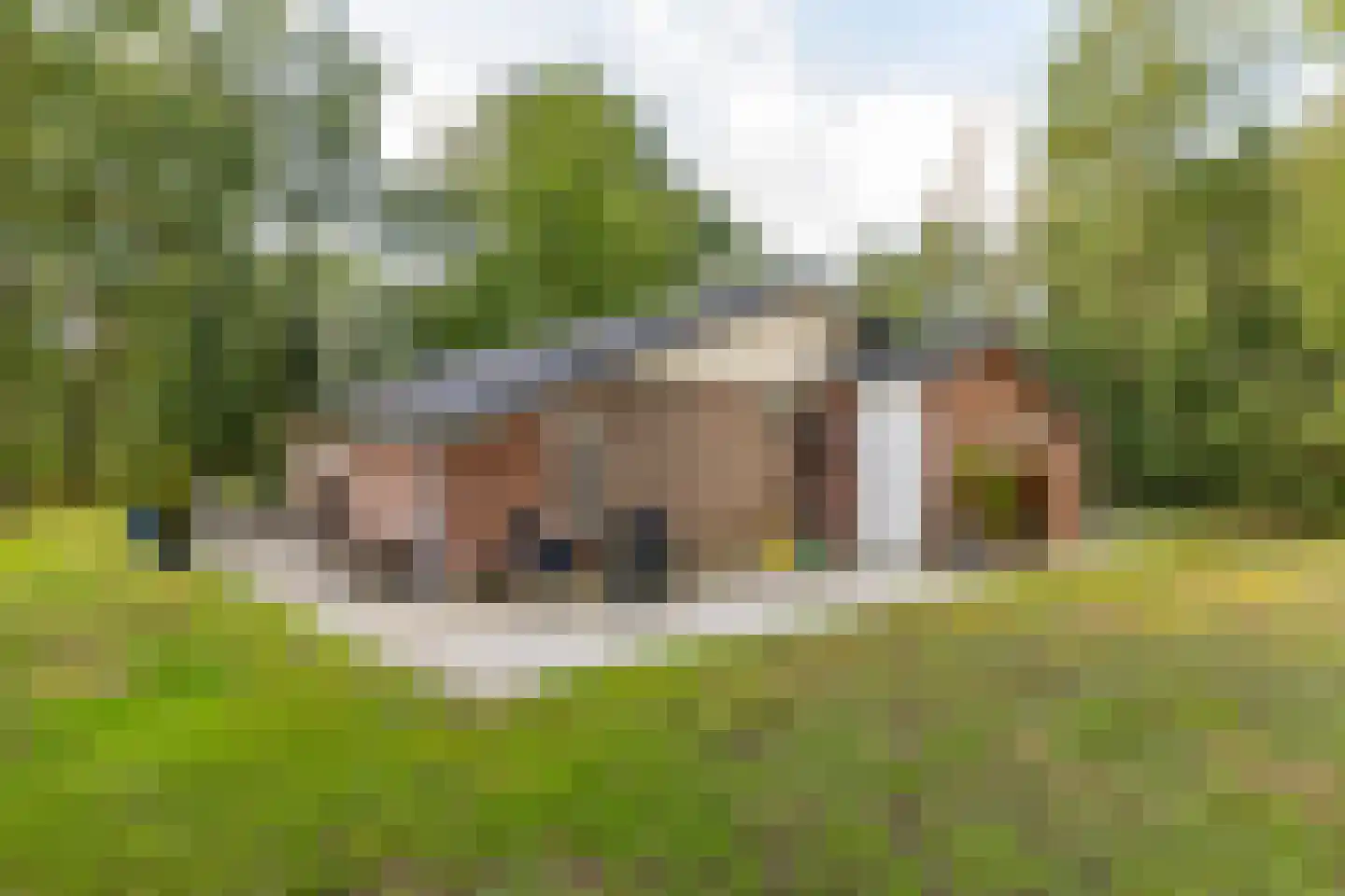 Oshaarseweg 24 99 Echten thumbnail 39