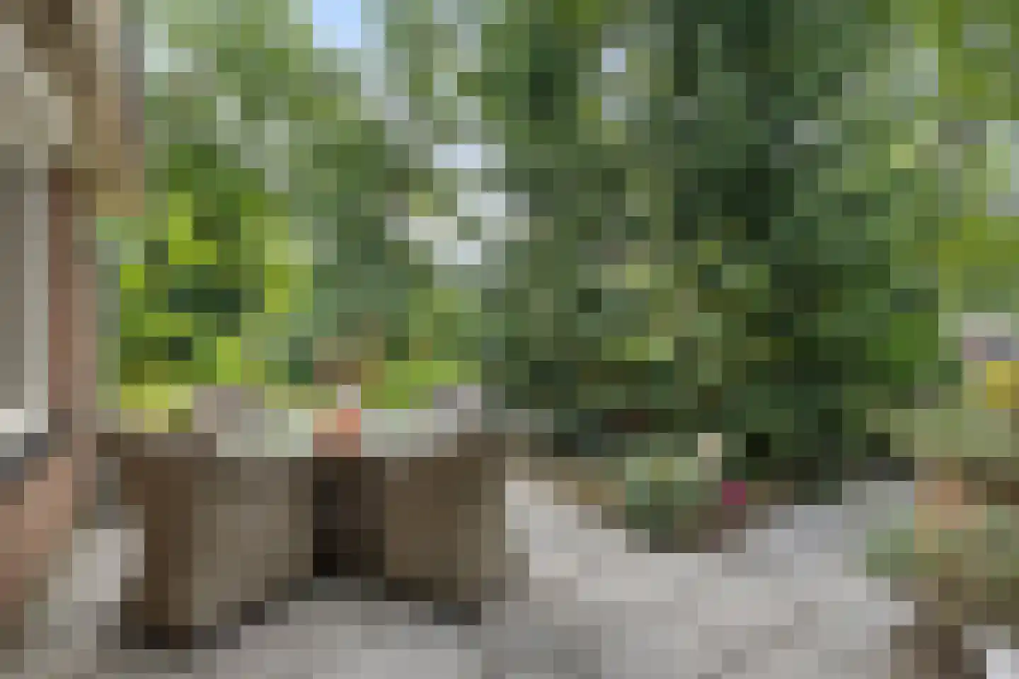 Oshaarseweg 24 99 Echten thumbnail 4