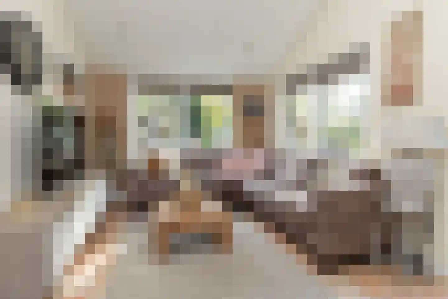 Oshaarseweg 24 99 Echten thumbnail 4